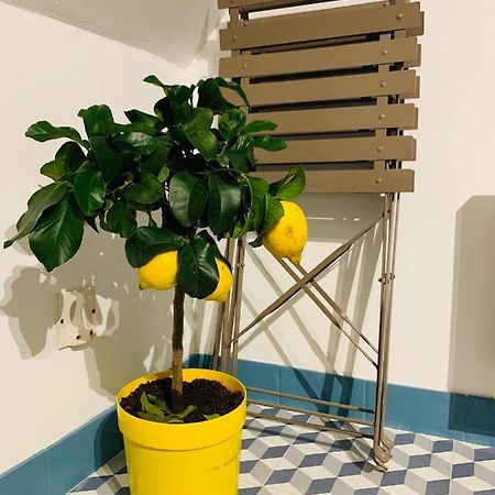 La Maison De Nina Санс Екстериор снимка